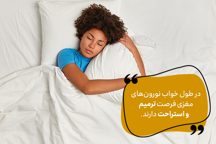 خواب موثر از عوامل کاهش دهنده ی اضطراب